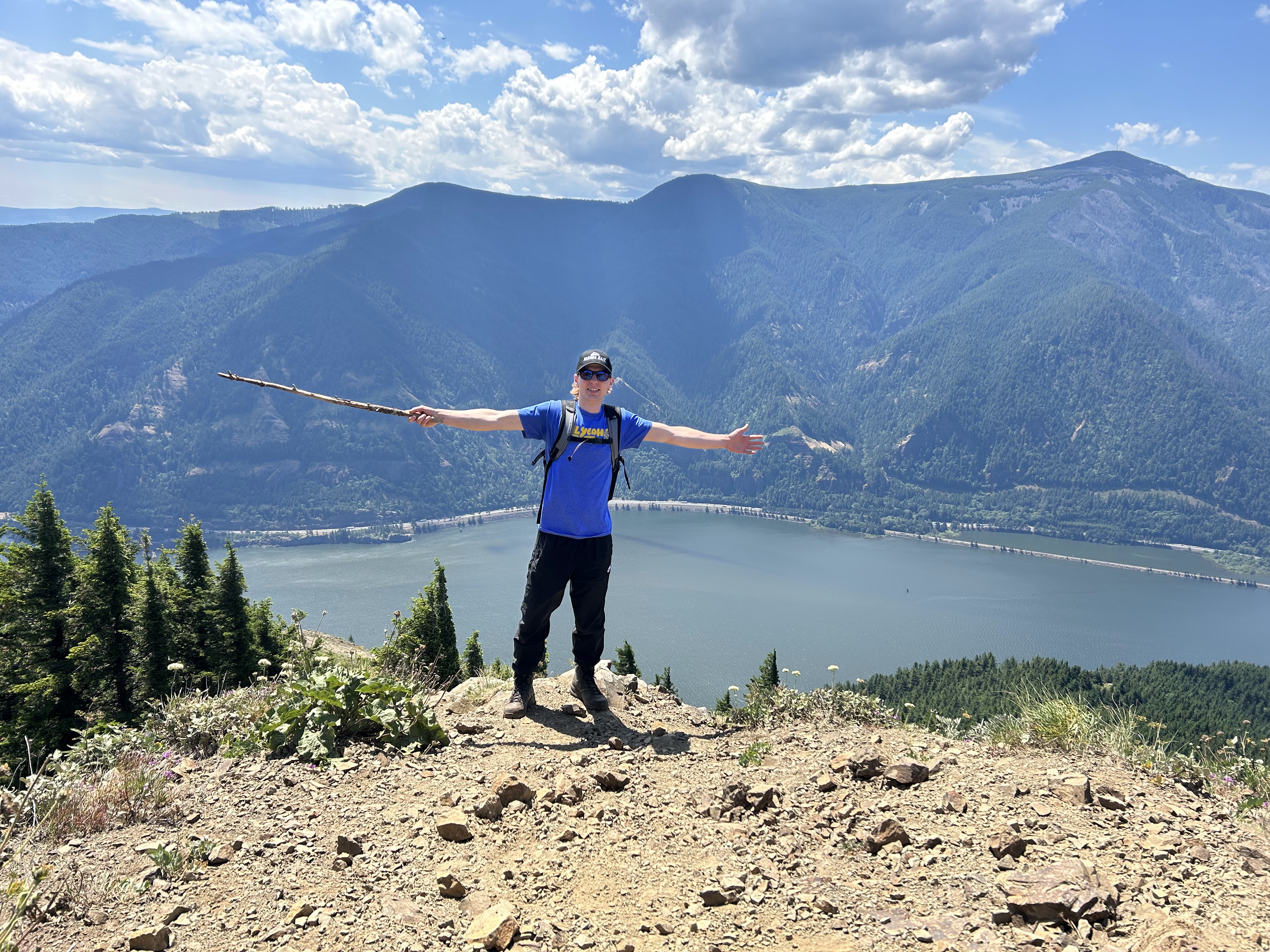 Description of Picture 4